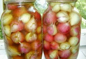 Засолка лука на зиму в банках Засолка лука на зиму в банках